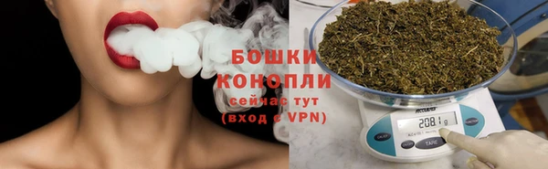 индика Вяземский