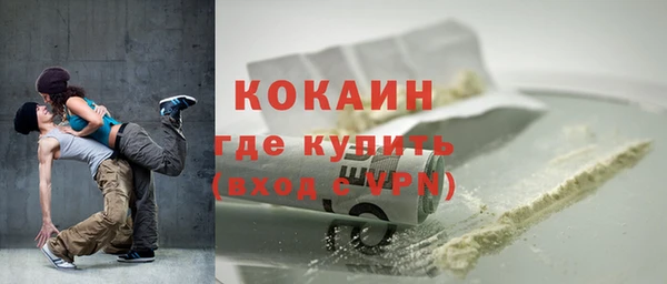 ешки Гусев