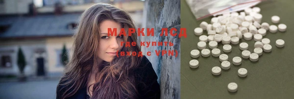 ешки Гусев