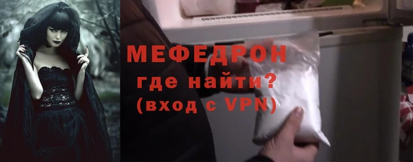 индика Вяземский