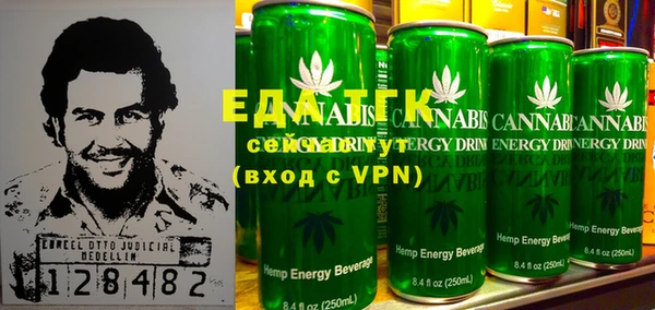 индика Вяземский