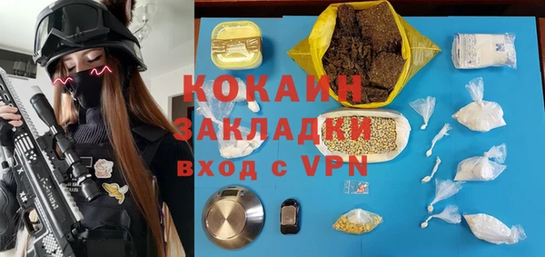 индика Вяземский