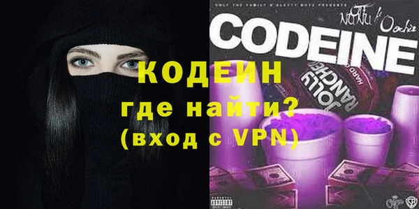 индика Вяземский