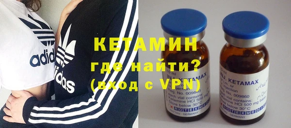 индика Вяземский