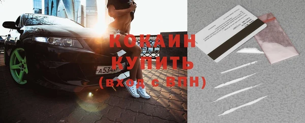 индика Вяземский