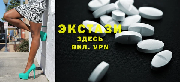 индика Вяземский